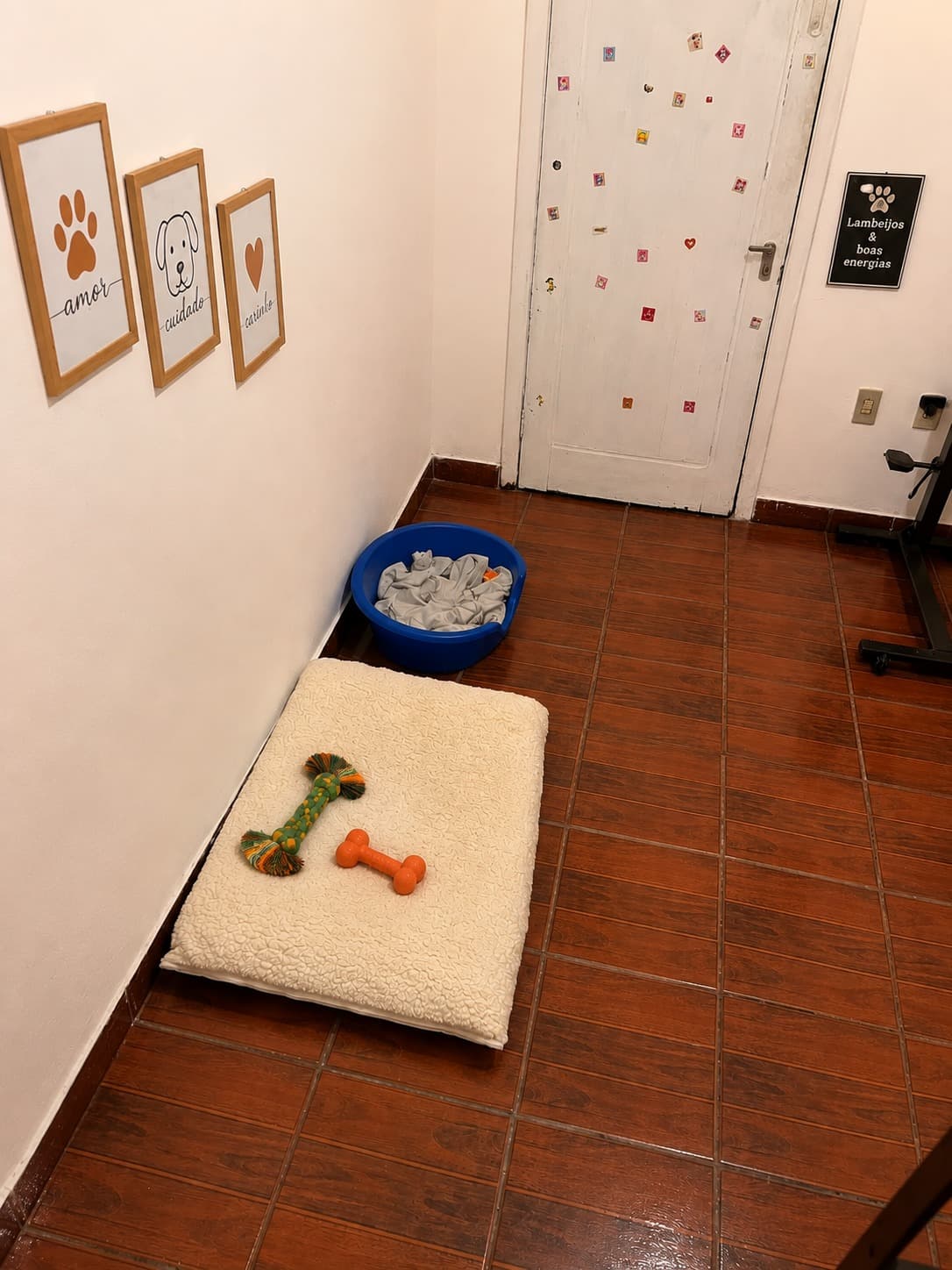 Área de hospedagem sem gaiola da Pet's House em Belo Horizonte