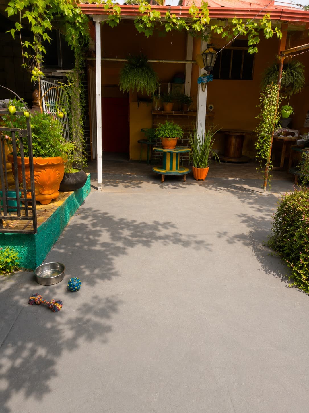 Espaço físico da Pet's House em Belo Horizonte